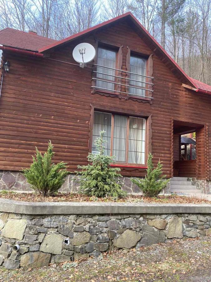Домик В Горах Villa Tur'ya Paseka Luaran gambar