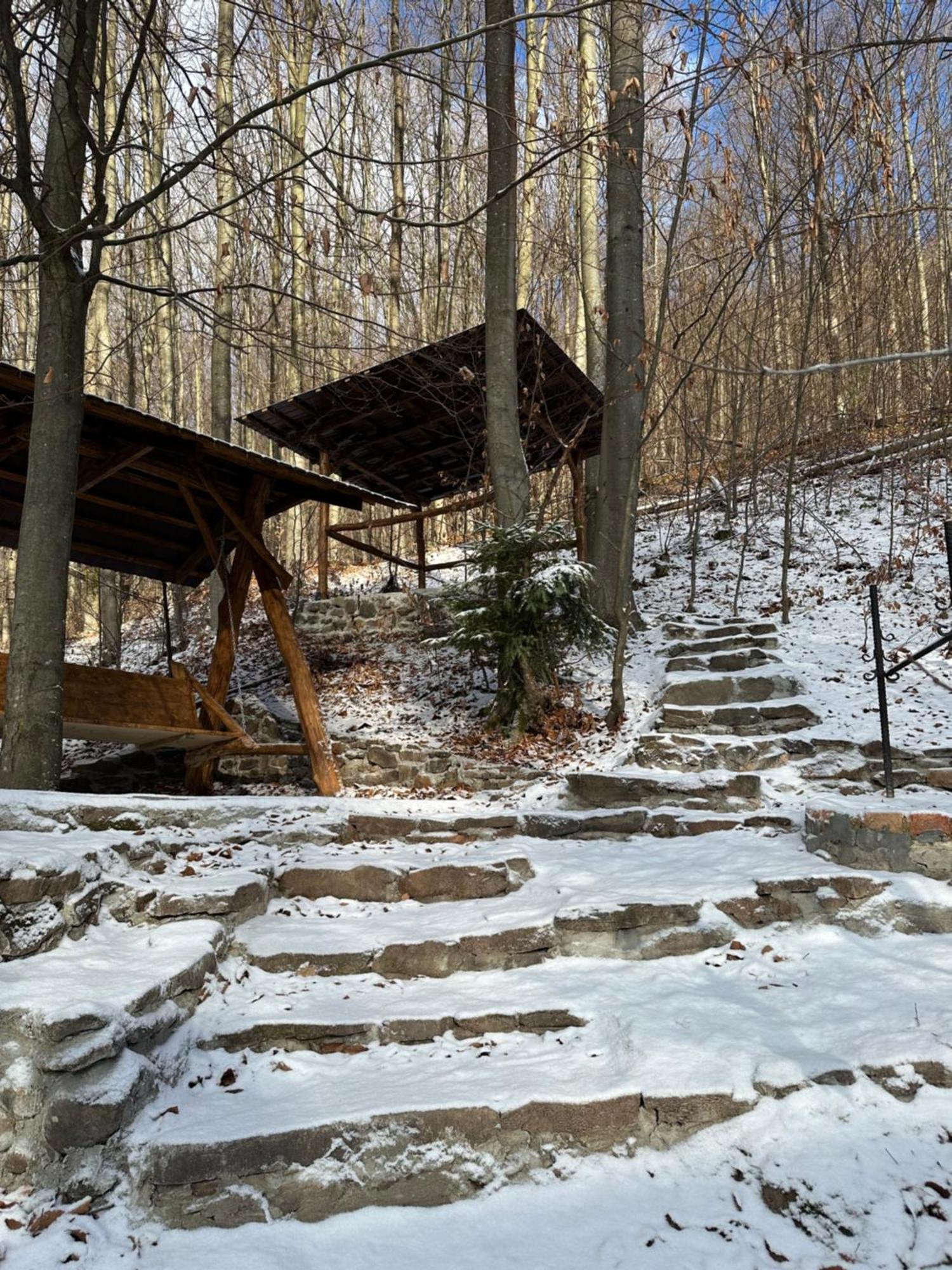 Домик В Горах Villa Tur'ya Paseka Luaran gambar